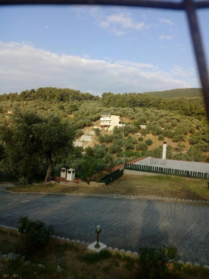 Villa Krini Skiathos Town Bagian luar foto