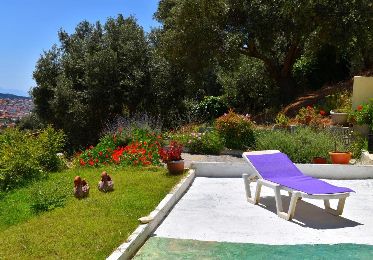Villa Krini Skiathos Town Bagian luar foto