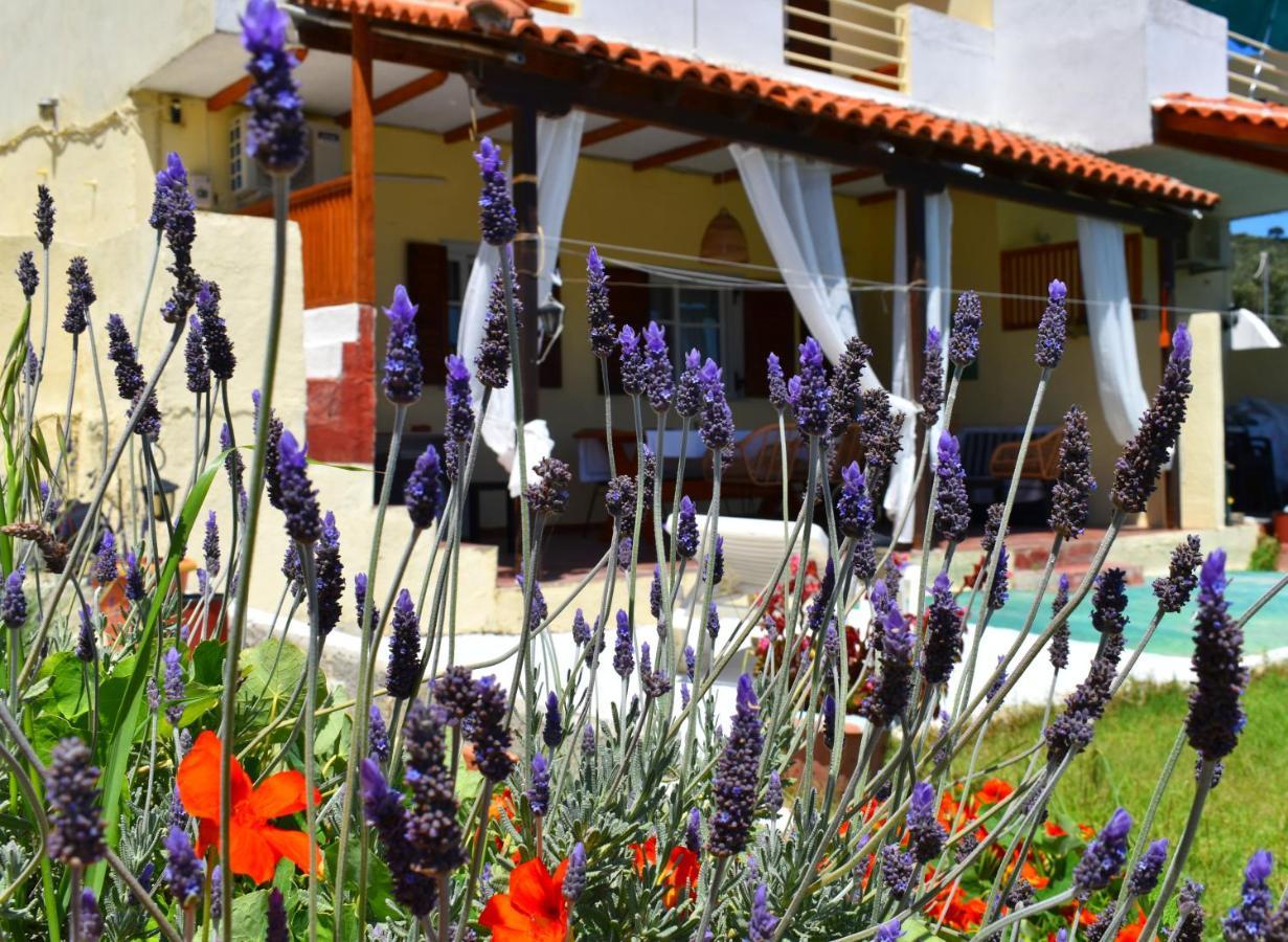 Villa Krini Skiathos Town Bagian luar foto
