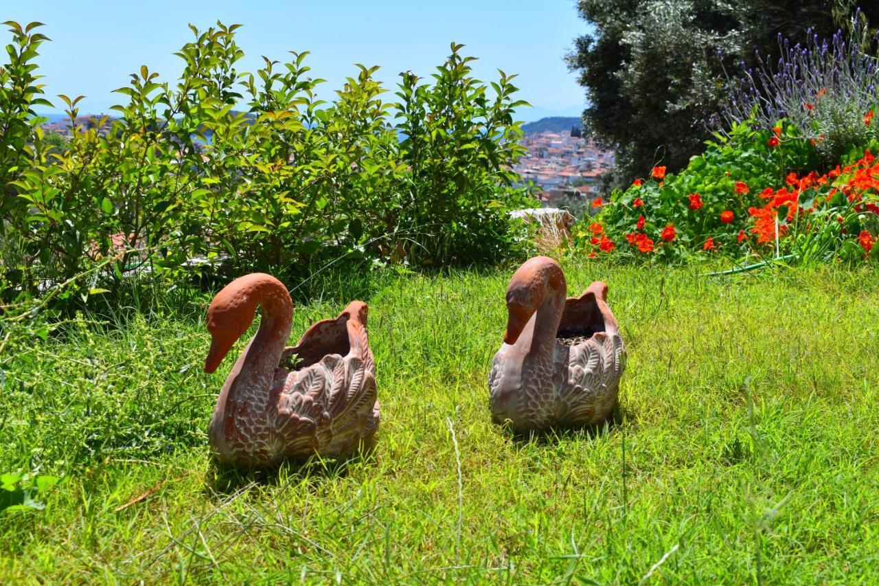 Villa Krini Skiathos Town Bagian luar foto