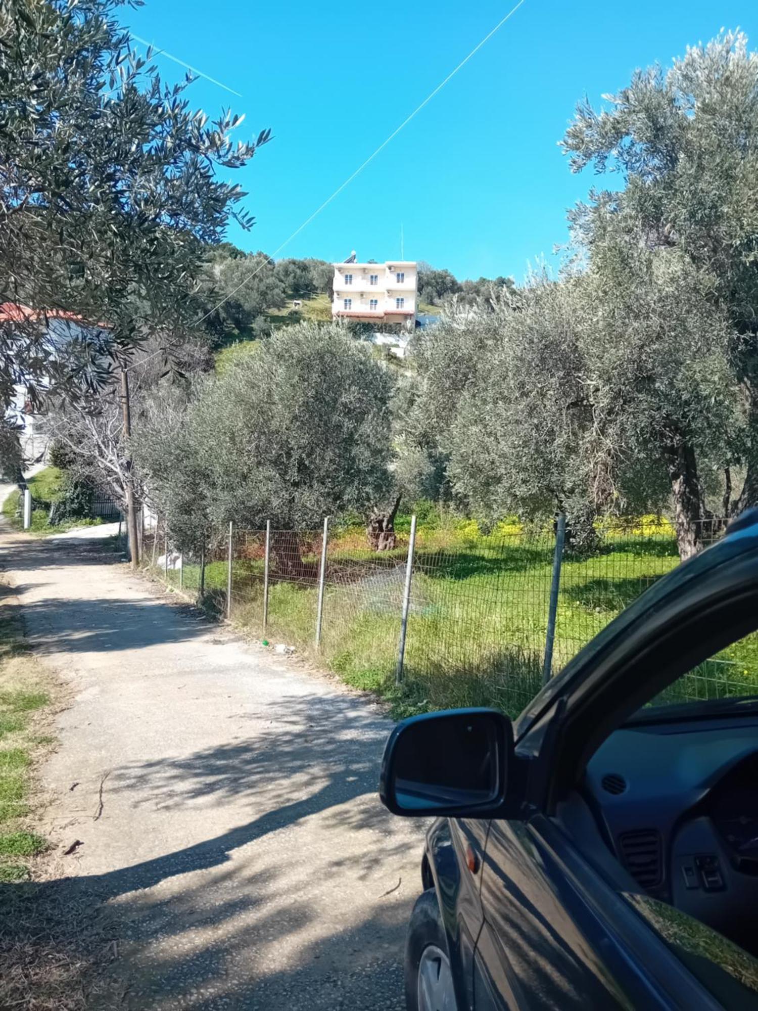 Villa Krini Skiathos Town Bagian luar foto