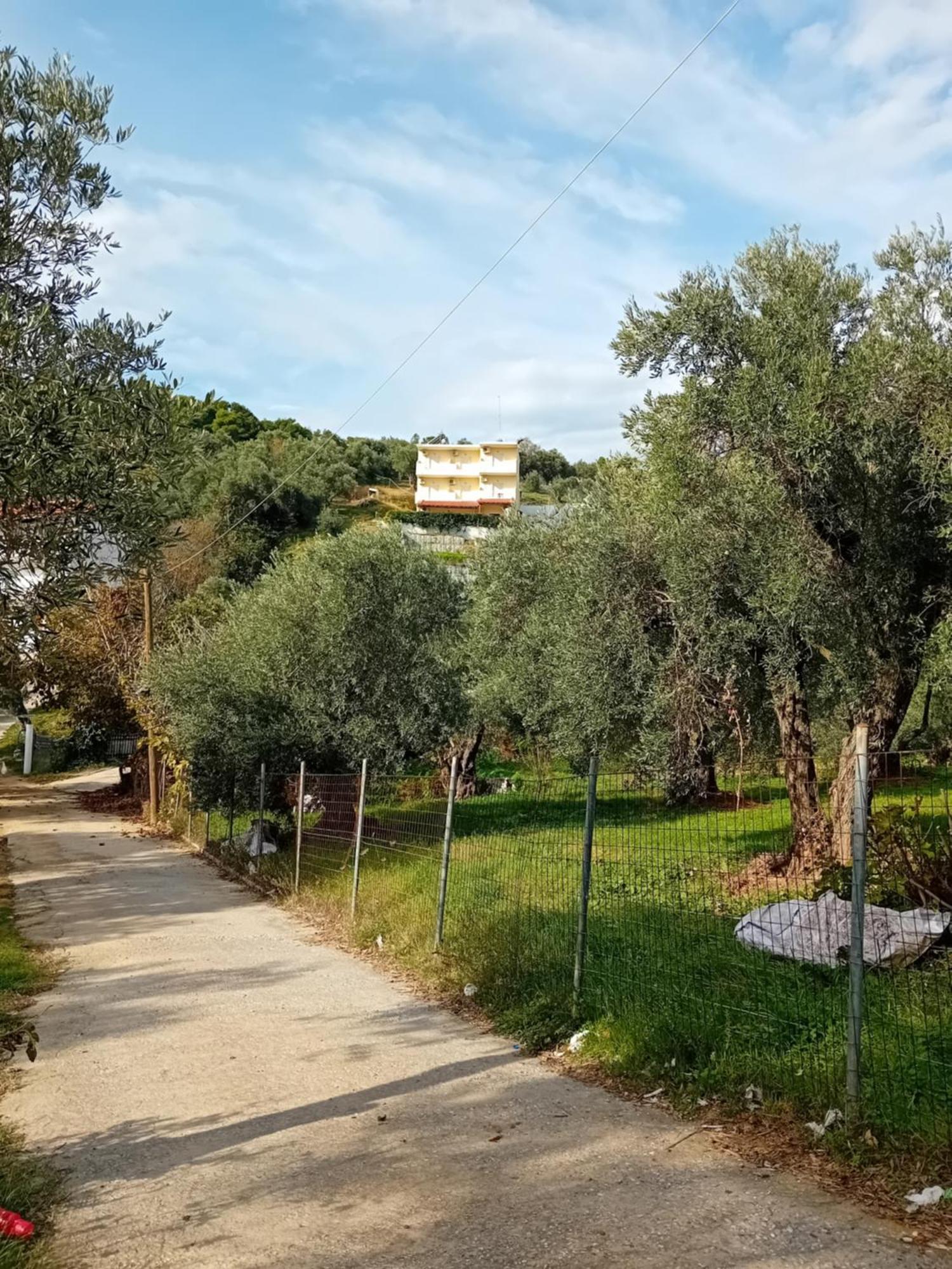 Villa Krini Skiathos Town Bagian luar foto