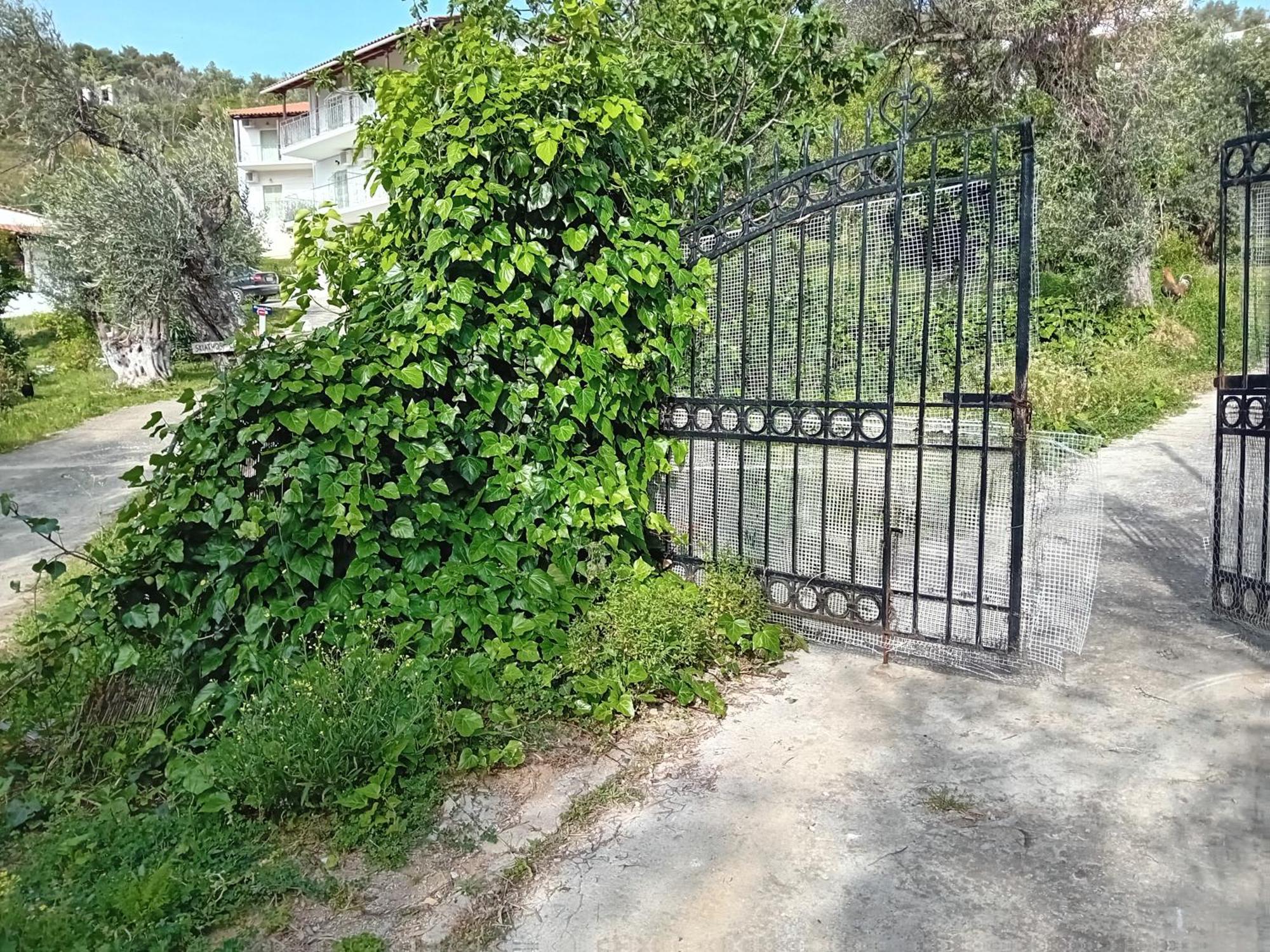Villa Krini Skiathos Town Bagian luar foto