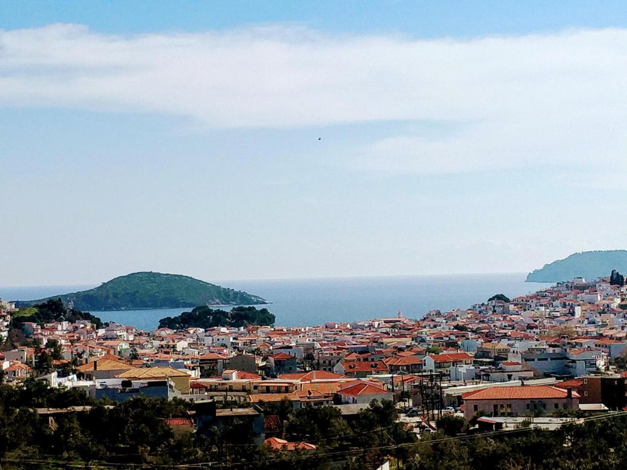 Villa Krini Skiathos Town Bagian luar foto