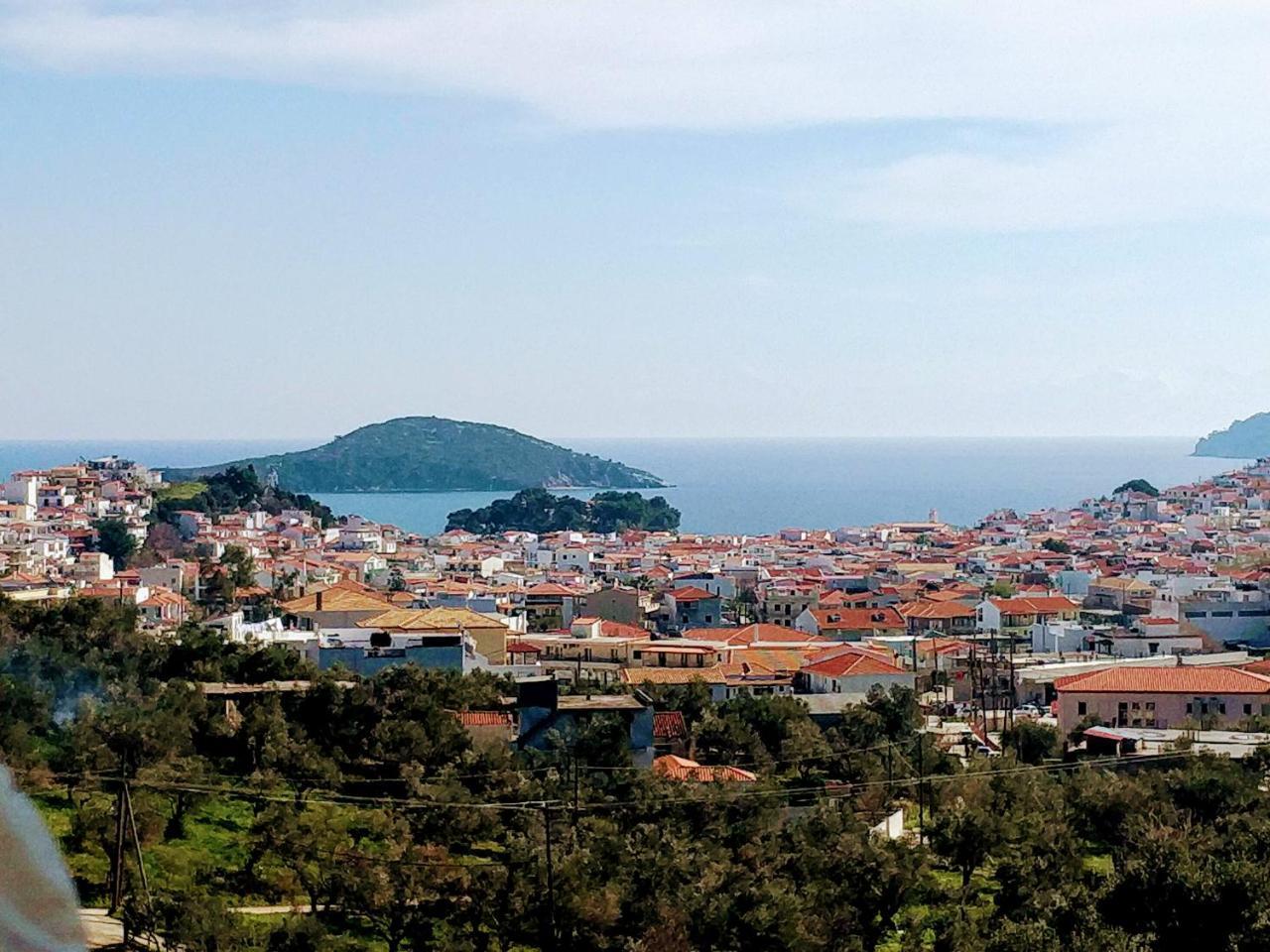 Villa Krini Skiathos Town Bagian luar foto